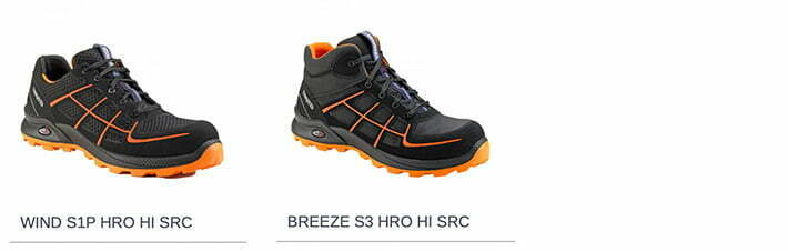 דגמים טבעוניים 2