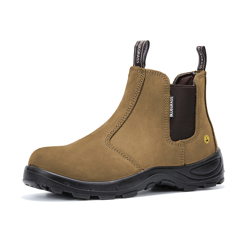 54 Brown Camel 02